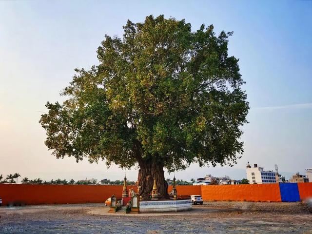 12月-3月，淡季旅行——云南-芒市