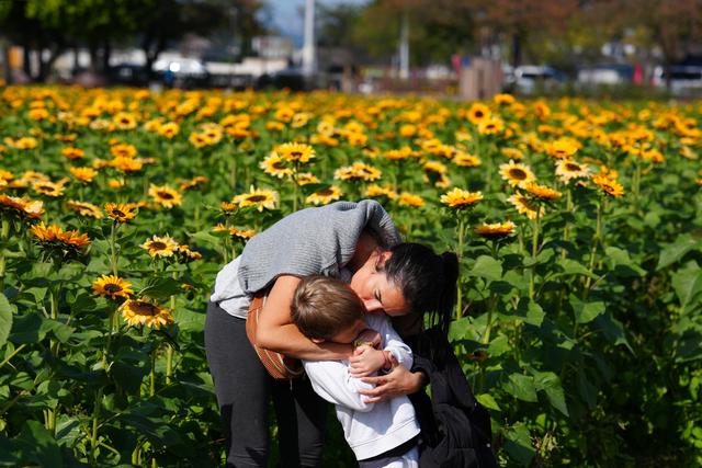 韩国古城庆州秋色