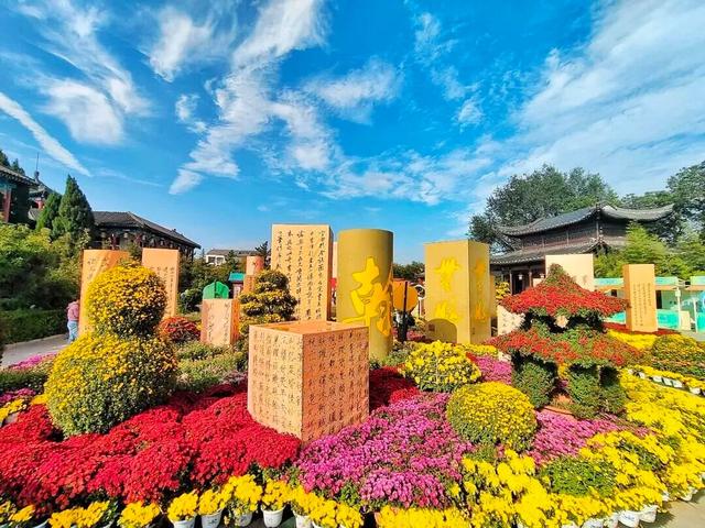 为这朵花，赴一座城→
