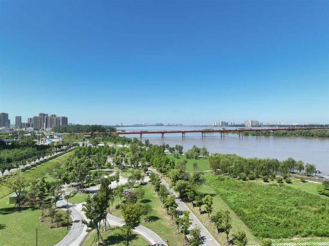 我的长江我的家｜洪山江滩：家门口的野趣花园