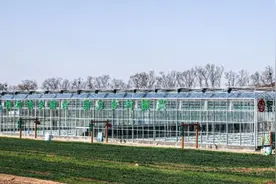 营在环翠 商通未来｜实施“城乡共富”行动，助力乡村振兴图片