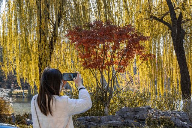 这座公园全面开放草坪，可以去露营了