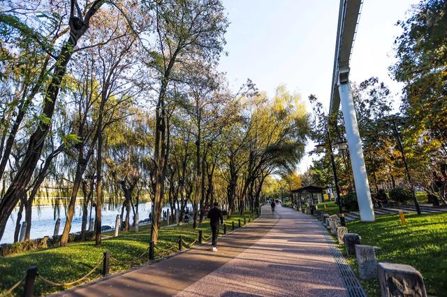 全部免费！西安4个冬日晒太阳好去处！