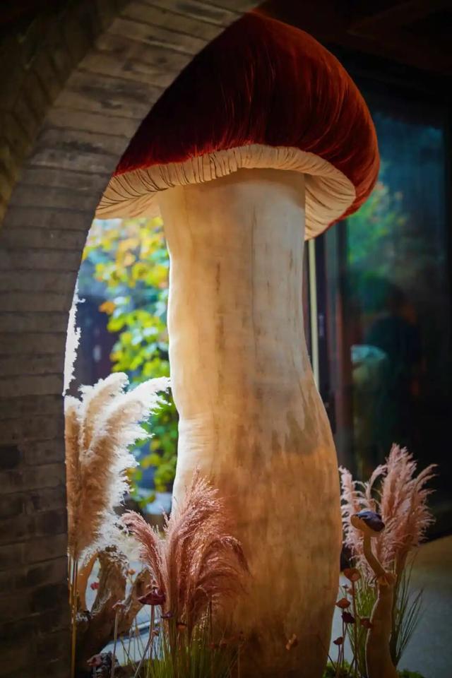 来东城这个胡同小院，邂逅蘑菇精灵的童话秘境——