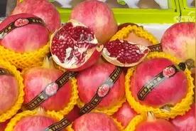 软籽石榴丰收上市 金秋“吉祥果”广受市场欢迎图片
