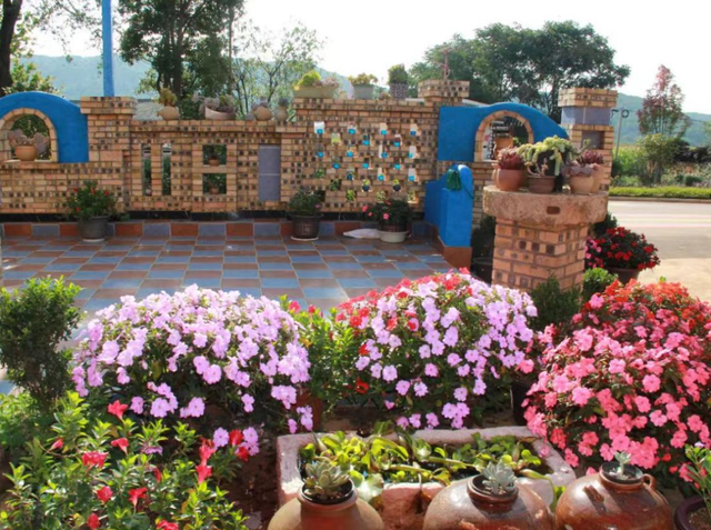 沉浸式漫游石林长湖 这份吃住行一站式攻略请查收