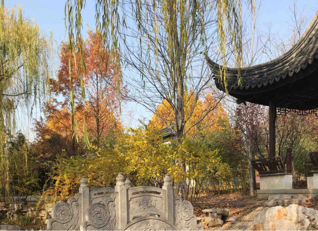 初秋亲子游，顺义这5个地方很值得去！