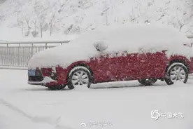 山东烟台威海雪花漫天飞舞 天地银白图片
