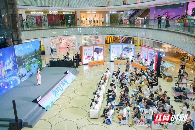 去看大湾区风情全运会风采 广佛肇旅游联盟来湘邀客