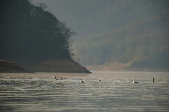 广德 等来了自己的风