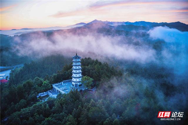 【每日一图@湖南】云雾是山林的呼吸，文峰塔是靖州的心跳