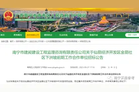 青秀区近400亩城中村改造要“动”？龙岗新增中小学用地图片