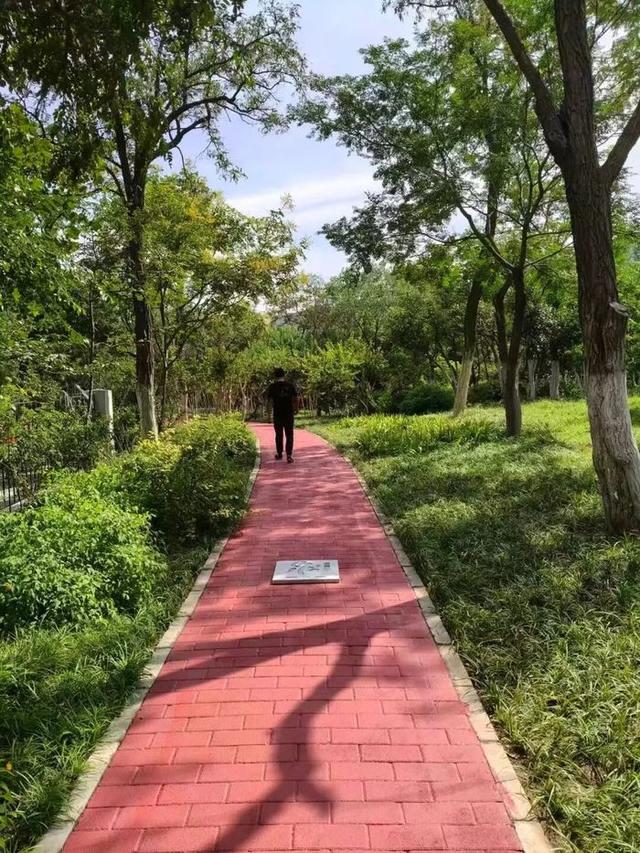 全龄友好、绿色生态、文化融合！揭秘济南千佛山—佛慧山无障碍绿道五大亮点