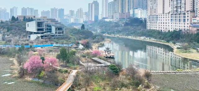 春天提前送达的问候