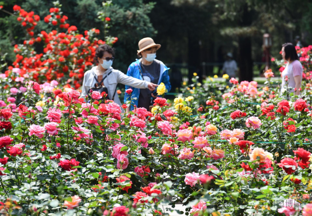 今天过节，荆州多地免票！