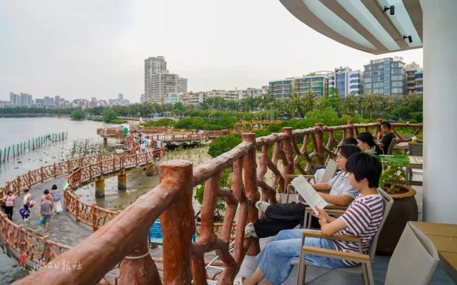 免费！湛江新晋亲海打卡点，超有料！