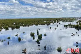 （铸牢共同体 中华一家亲）若尔盖花湖再“绽放”图片