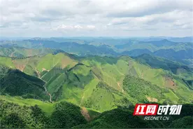 湖南新田：生态修复有成效 绿意盎然景色好图片