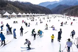 春节假期，西峡文旅迎来“开门红”！图片