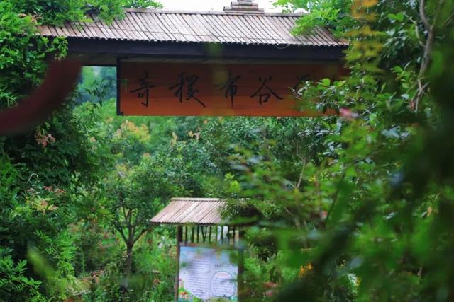 解锁秋日松弛感！长沙周边这些地方可以摘果子、采板栗！