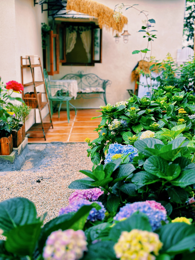 偶遇演员金晨、孙阳！来里水贤鲁岛打卡同款→