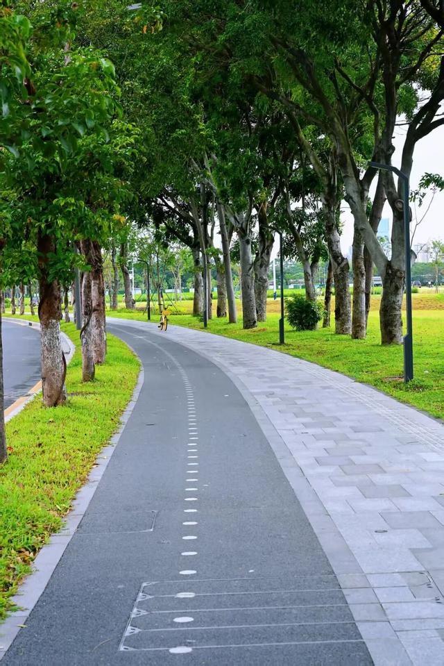 周末出发！打卡东莞市区这些「治愈系」风景