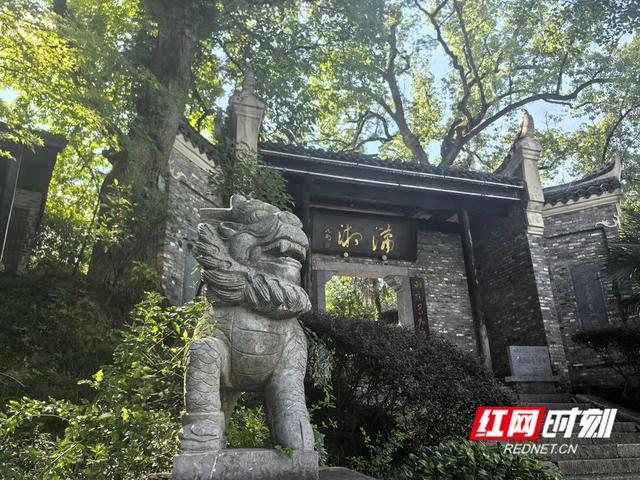 我住湘江边 ② | 潇湘合流处 绿染千年文脉