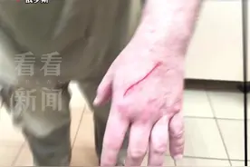 闹着玩儿！大熊猫幼崽“喀秋莎”不小心抓伤奶爸图片