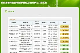 南京成功出让5幅地块，总成交价格19.82亿元图片