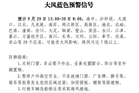 重庆发布大风蓝色预警！28个区县可能受大风影响，阵风可达7级以上图片