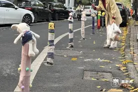 一条小路突然爆火，网友：不愧是杭州，好浪漫图片
