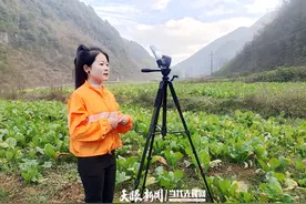 记录日常、答疑解惑、宣讲政策，“小明村长”化身“田间网红”图片