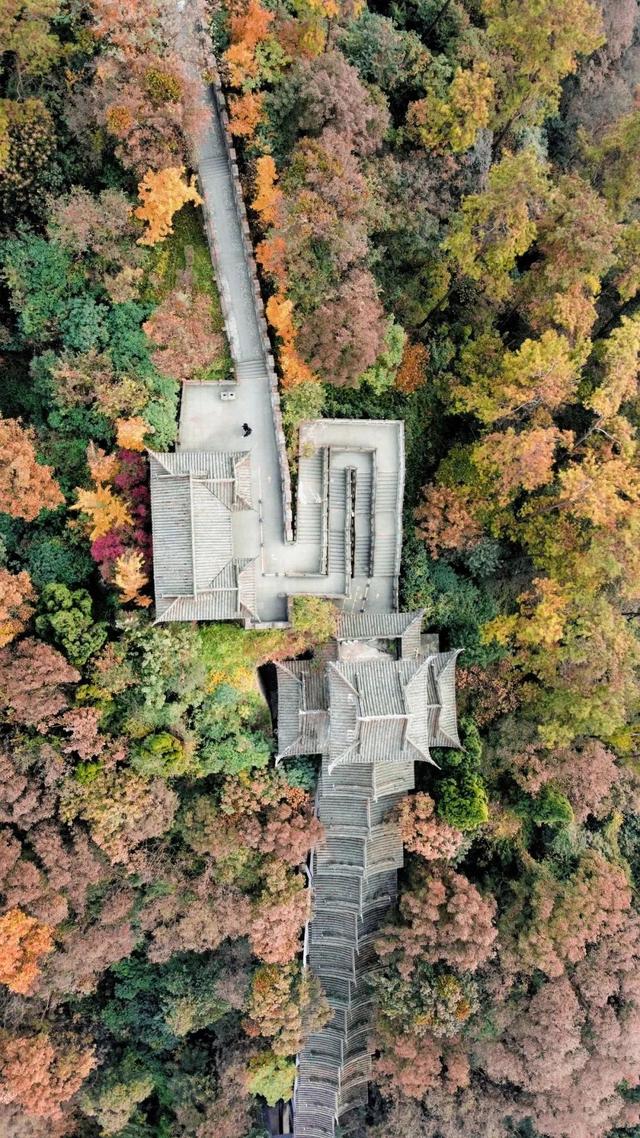 秋天必须这样耍！都江堰限定美景即将上线