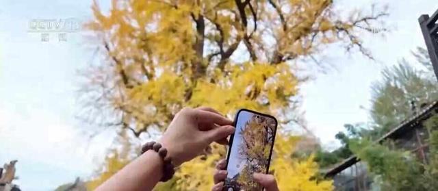 特色赏秋游热潮澎湃 “文旅+”新场景新业态激发“秋日经济”活力