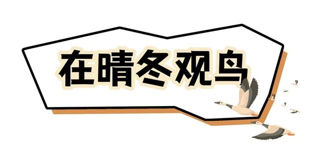 听劝，冬天在洛阳，就要这么玩！