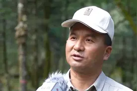 古树挂上“身份证” 玉龙雪山的植被为何“隔里不同天”？图片