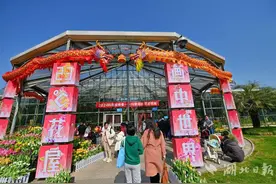游园赏花迎新春  游客在武汉植物园感受浓浓年味图片