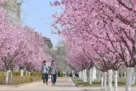 2025高考选专业注意了，最新就业率发布，同校不同专业相差近一倍图片