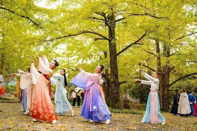 秋分至！桂林即将进入 “颜值巅峰期”，这些家门口的秋日盛景别错过！