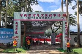 东莞厚街荔枝市场投用！“48小时鲜荔达全国”图片