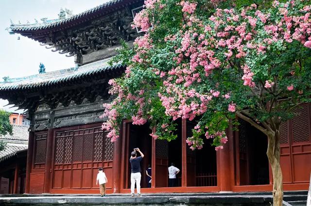 乐游绵阳 清凉一夏 ‖ 立秋已过,平武多了几分“姿色”!云海、花海、森林与田园的诗意交响~