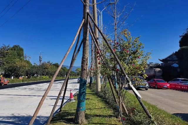 下月完工！大理再添“打卡级”景观大道