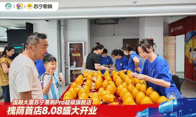 槐荫首家苏宁易购Pro旗舰店盛大开业：三重补贴省钱至高减一半