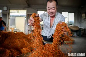 炒桂花，泡香茗图片