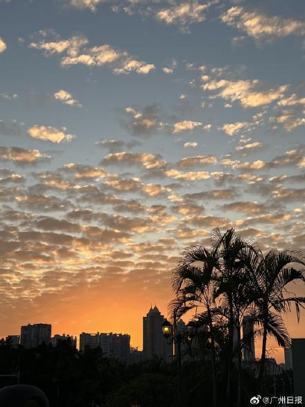 图集｜广州上空出现绝美鱼鳞云