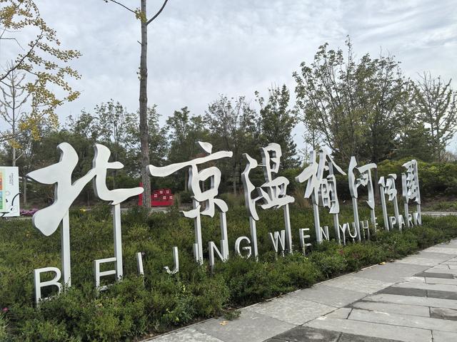 百花争艳！秋日温榆河公园宛如色彩海洋