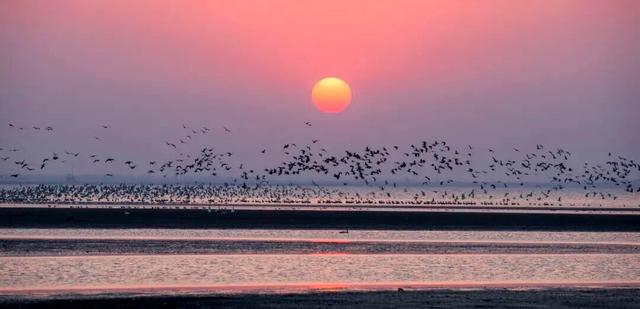 湖北一地宣布：凭球票免费游景区