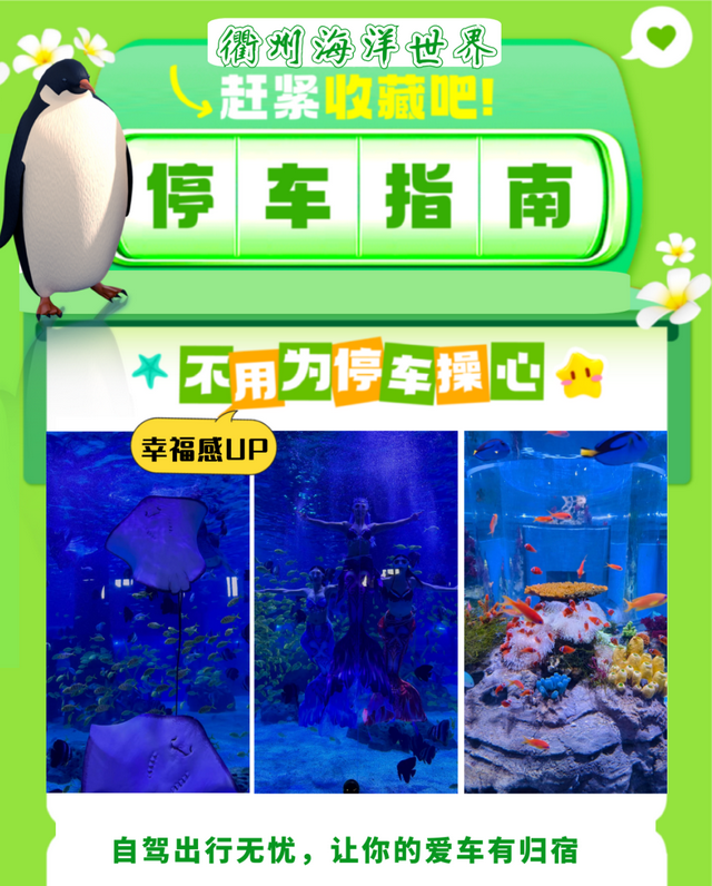 衢江十一假期停车攻略来啦！带你畅玩衢州海洋世界~
