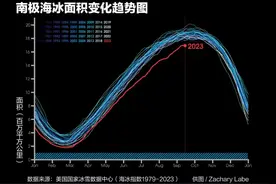 9000只宝宝死亡，帝企鹅在消失图片