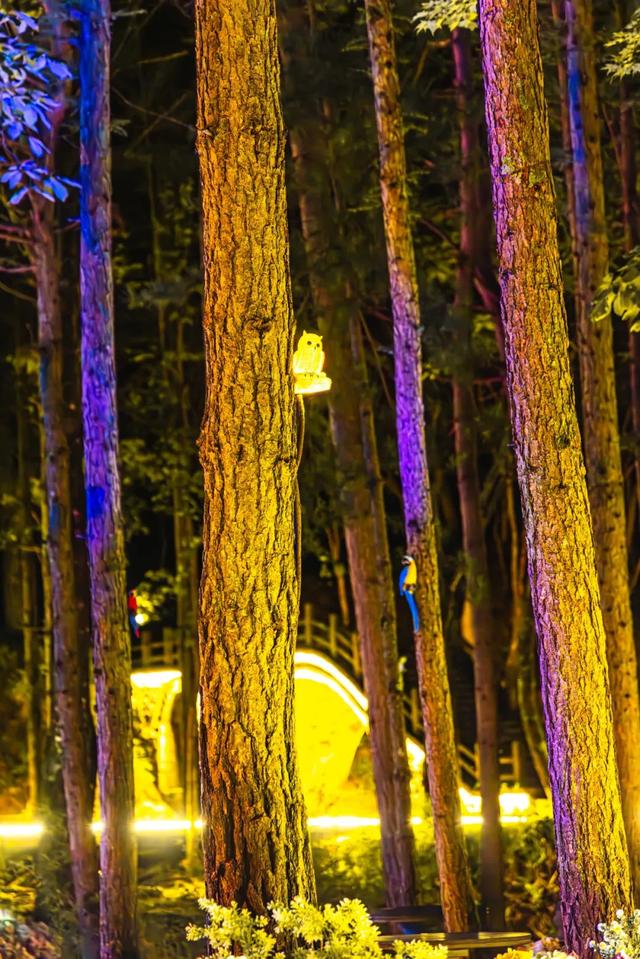 暑假余额告急！学生免门票游白云山，解锁夏日清凉狂欢模式～